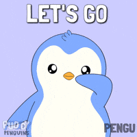 Lets Go GIF by Pudgy Penguins