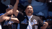 Baseball Mlb GIF by New York Mets