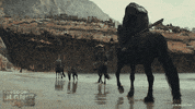 Trailer gif. A coastal scene from the movie "Kingdom of the Planet of the Apes" shows three armed apes on horseback leading Mae and Noa, both bound in ropes as prisoners, towards a large, dilapidated shipwreck on the beach.