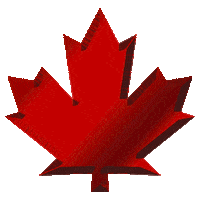 d2mapleleaf Sticker by DSQUARED2