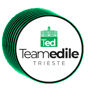 teamedile italia milano ted soa Sticker