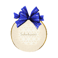 Christmas Holiday Sticker by sulwhasoo.kr