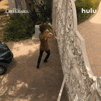 Kumail Nanjiani GIF by HULU