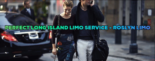 long island limo service GIF