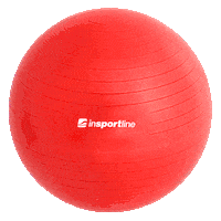 inSPORTline ball mic insportline míč insportline Sticker