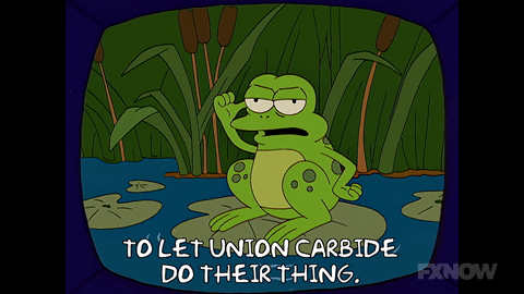 Episode 8 Frog On Tv GIF by The Simpsons
