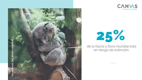 CANVAS_ES giphygifmaker GIF