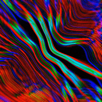 animation love GIF by POST-WEB