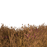 Summer Flowers Sticker