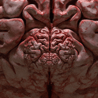 Idea Brain GIF by Feliks Tomasz Konczakowski