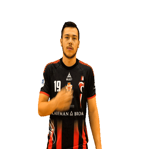 cavigalnicehand giphyupload nice handball cavigal Sticker