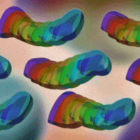 Animation 3D GIF by jakealope