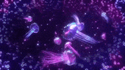 kaceymusgraves kacey musgraves oh what a world GIF