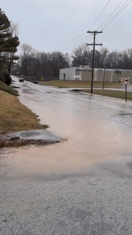 Excessive Rainfall Triggers Flash Flooding in Northwest Alabama