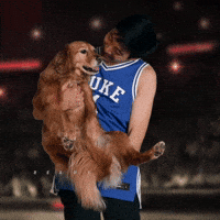 March Madness Dog GIF by Basketball Madness