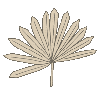 Palm Sticker by Sivan Ayla
