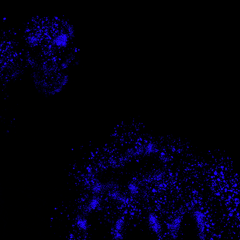 Fourth Of July Art GIF