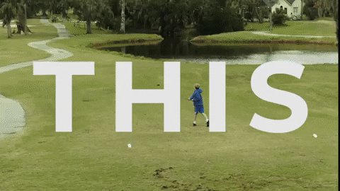 rparsons giphygifmaker GIF