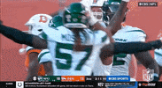 National Football League GIF by NFL