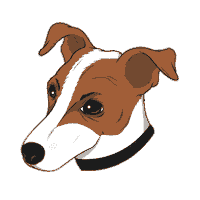 unify festival Sticker by unfdcentral