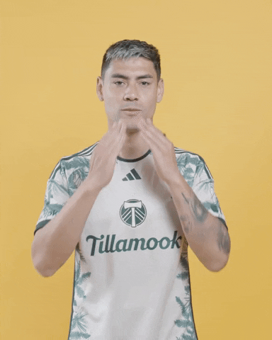Mls Portland GIF by Timbers