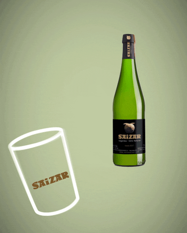 saizarsidreria giphyupload sagardoa txotx sagarra GIF