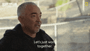 Dogwhisperer GIF by National Geographic Channel