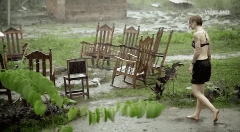 viceland GIF by JUNGLETOWN