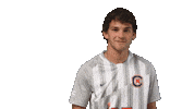Soccer Celebrate Sticker by Carson-Newman Athletics