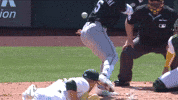 Home Run Sport GIF by MLB