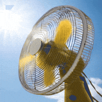 Summer Melting GIF by SAP
