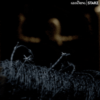 Barbed Wire GIF by STARZ