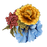 Flowers Floret Sticker by aguabenditaSW