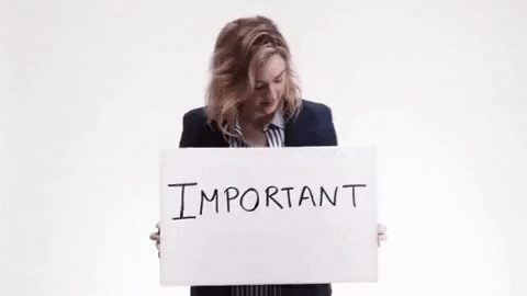 save the day voting GIF by Election 2016