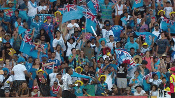 fans fiji GIF by World Rugby