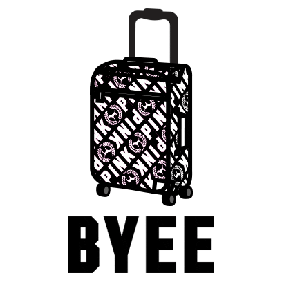 bag airport Sticker by Victoria's Secret PINK