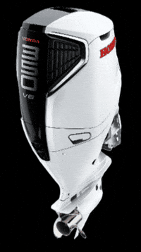 Honda GIF by HondaMarineItalia