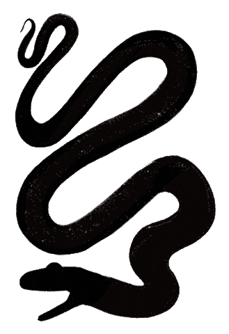 Snakestone Sticker by Nosy Crow