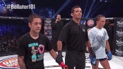 GIF by Bellator