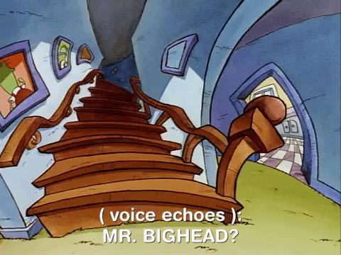 Rockos Modern Life Nicksplat GIF by NickRewind