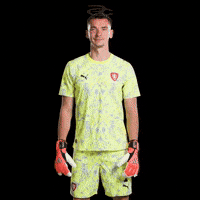Fifa World Cup Uefa GIF by Respective
