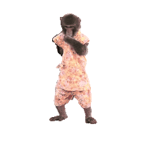 Monkey Nice To Meet You Sticker