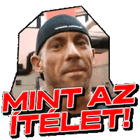 Bohoskornél Sticker by Scitec Nutrition
