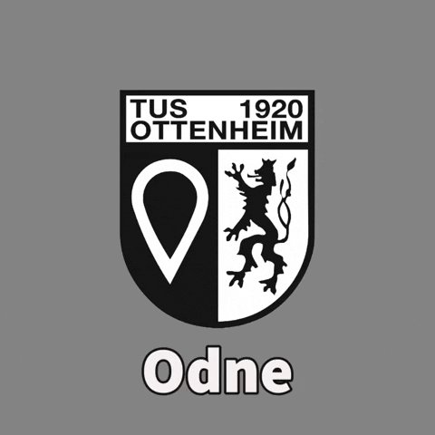 tus_ottenheim giphygifmaker 1920 tusottenheim odne GIF