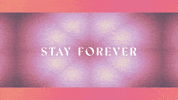 Neon Stay Forever GIF by CLAVVS