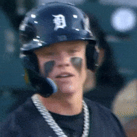 Detroit Tigers Baseball GIF by MLB