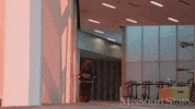 boomer msu GIF by Missouri State University