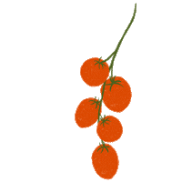 cherry tomato art Sticker by Our Second Nature