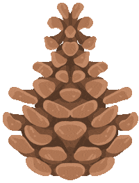 Christmas Flower Sticker