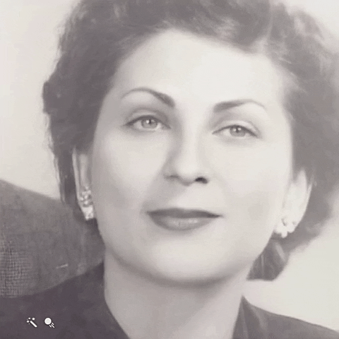 geminibros giphygifmaker GIF